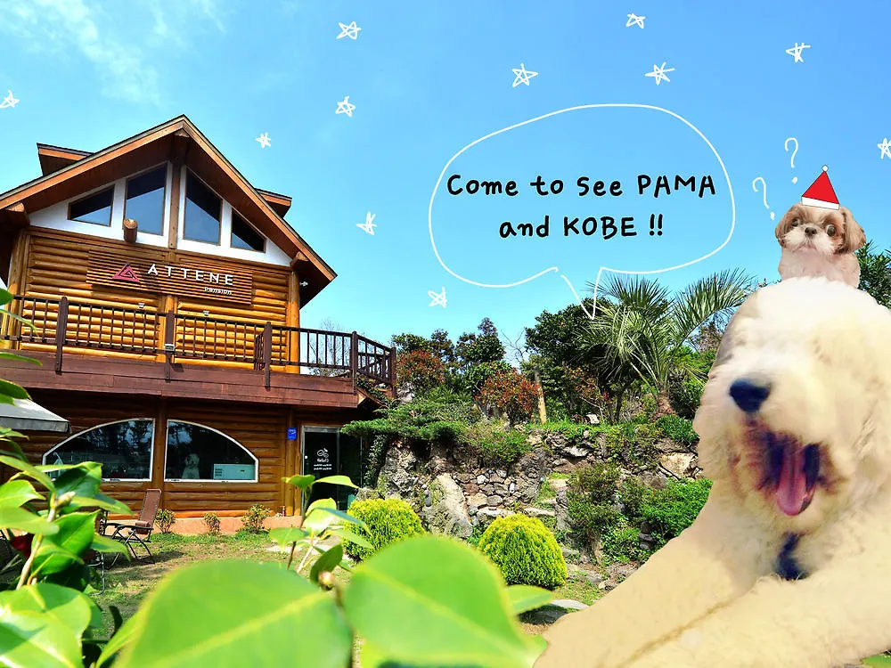 Attene Pension Jeju